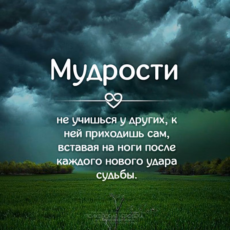 85d3ffadc622712af4b4277572519cff.jpg