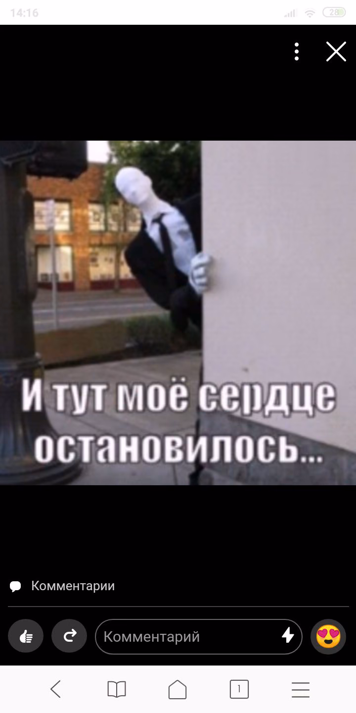 85d424cc71256019f3fef2be5a876c03.avif