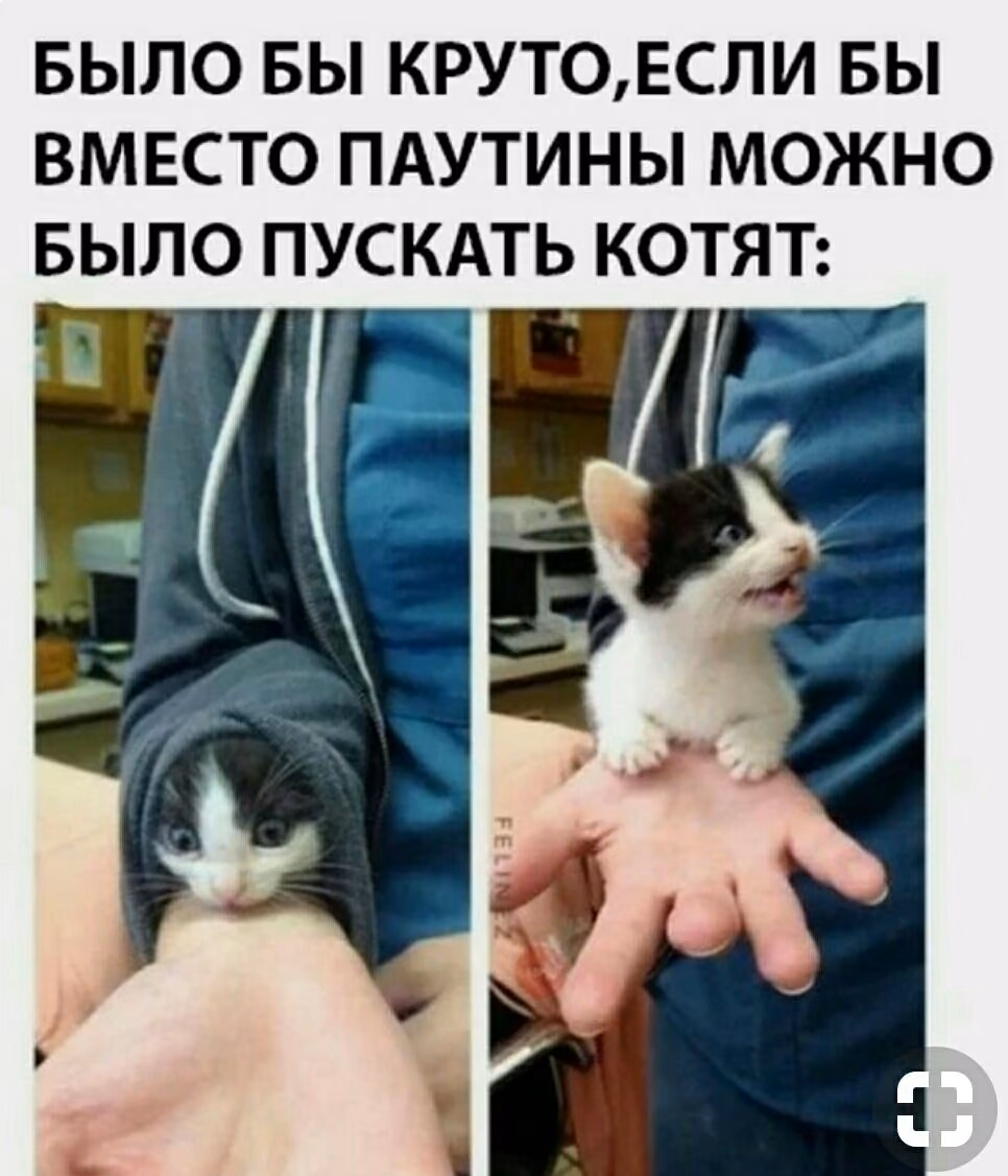 85f31d708e5a4e9523eea60fd4d8cda9.jpg
