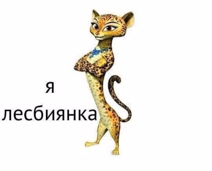 85fa664720d8ee6aa7fac699c278dfab.avif