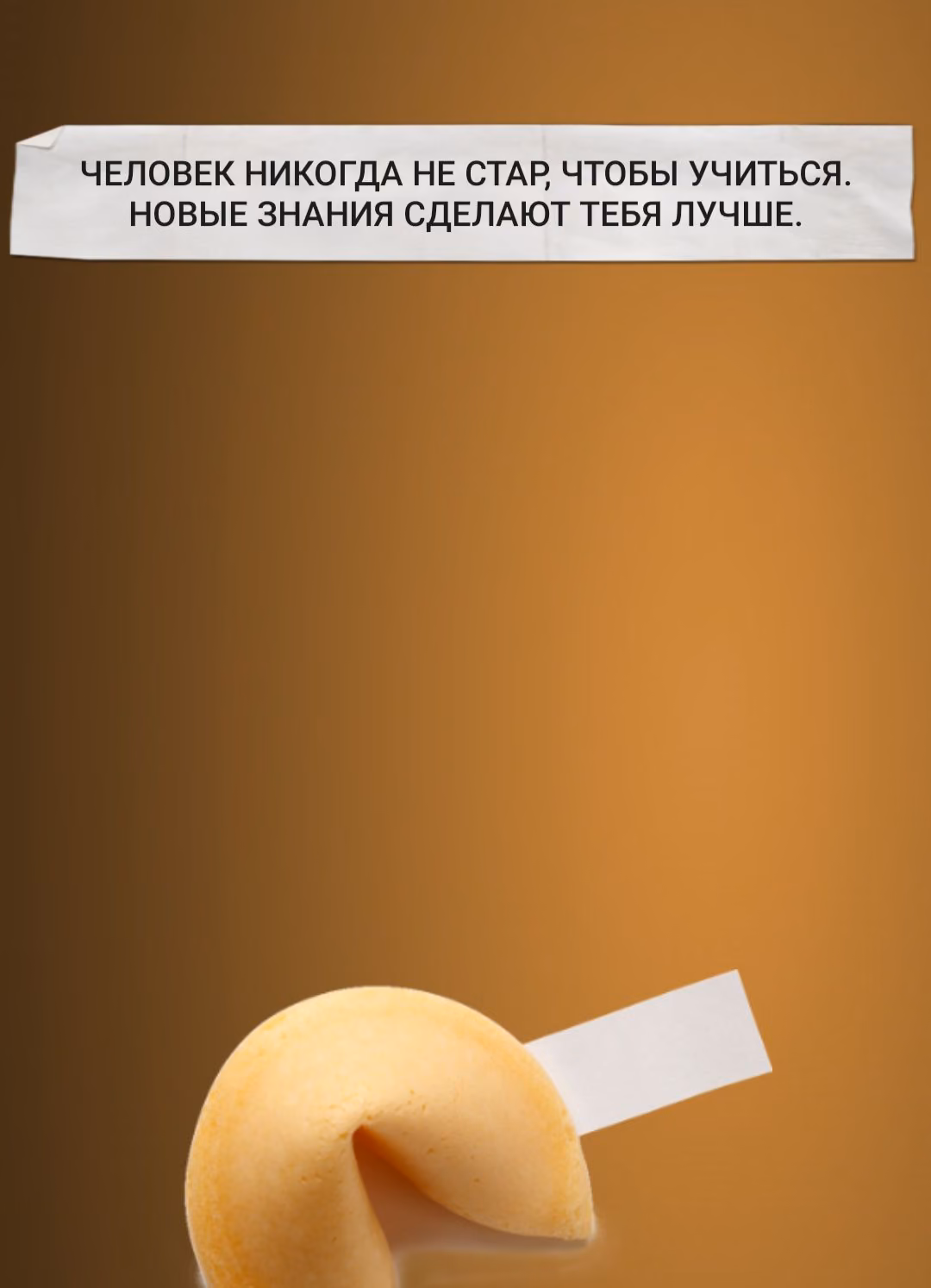 8600359c97c8fa312e38e66bb8c5b7f3.avif