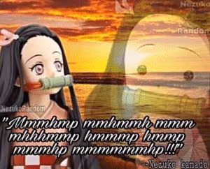 86014767a7775f2cbd74d1e28d49b20e.avif