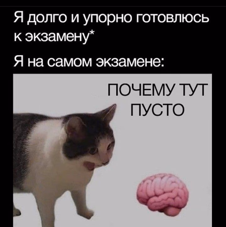 8615647bcd778619417facbeed72669b.avif