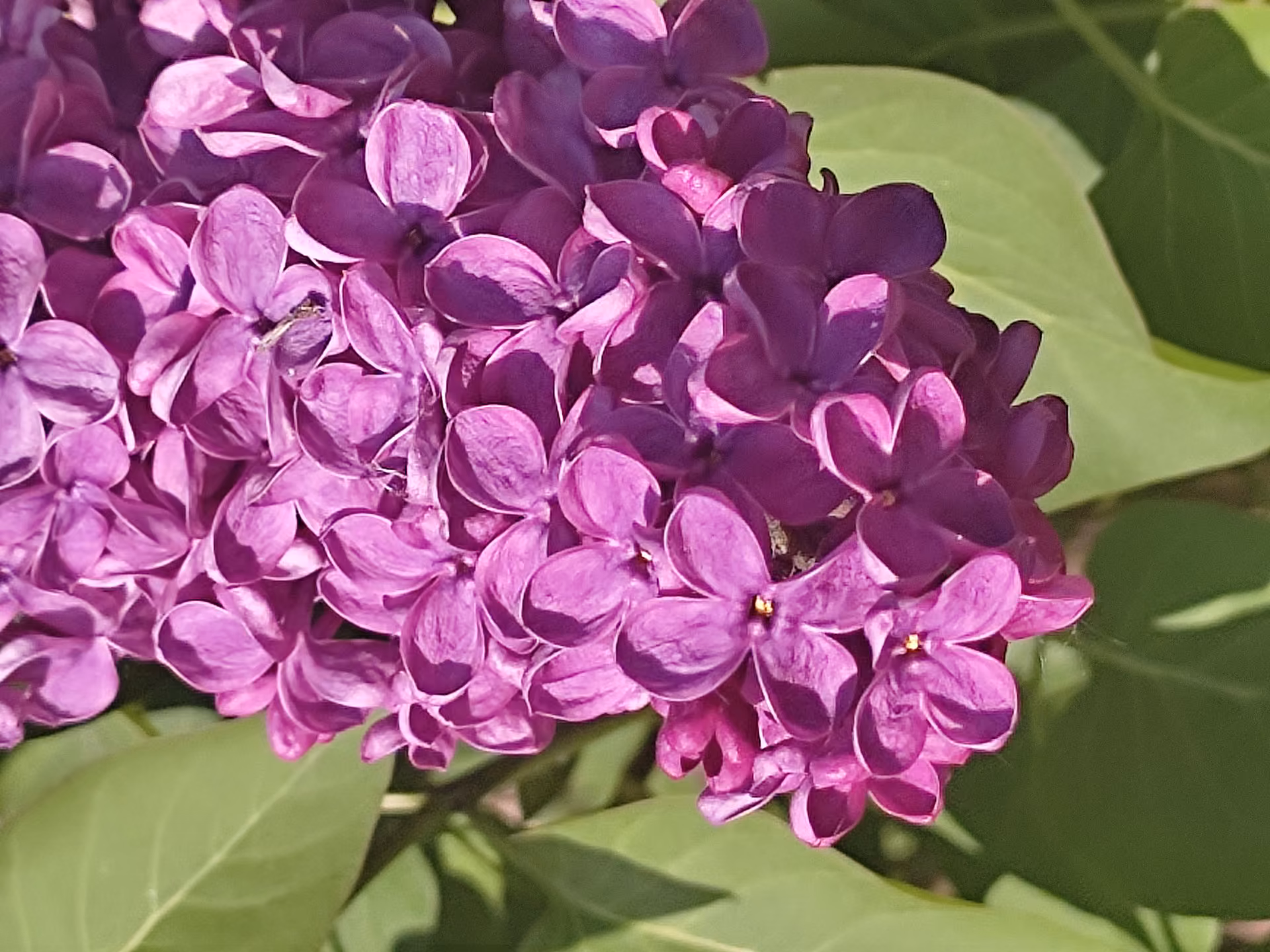 861d65250809e6777a7231d18e6001d4.jpg