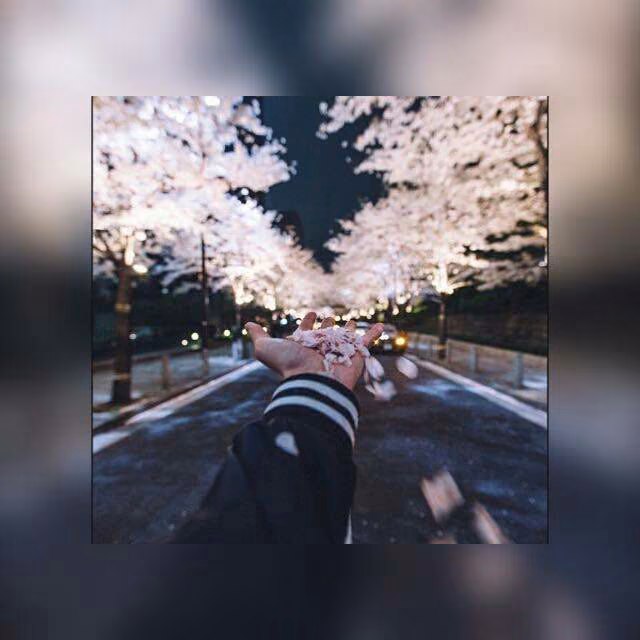 86306038c8681c4f111cbf995877ac3a.jpg