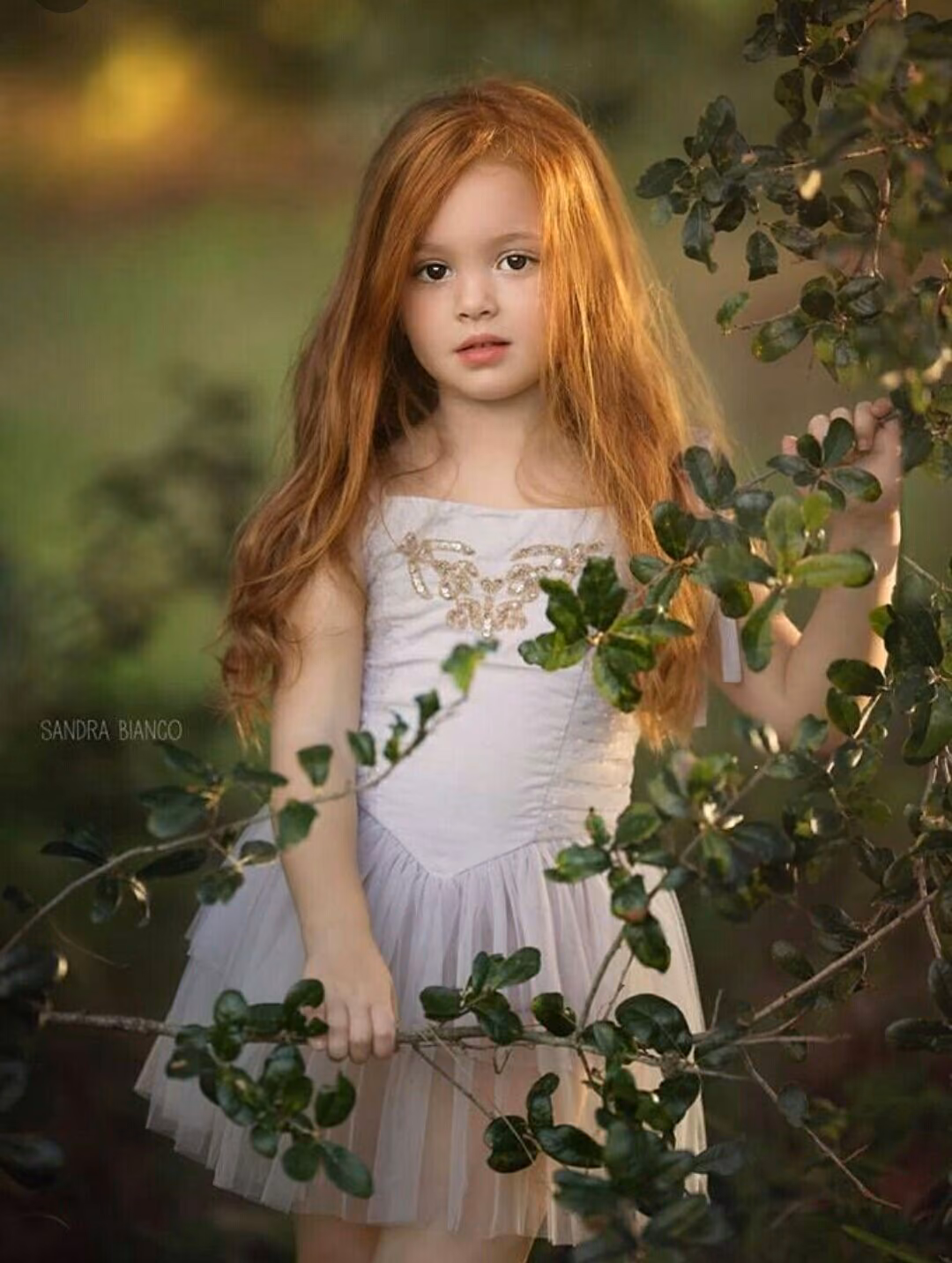 8646925a588845380e3cd11ec748f589.avif