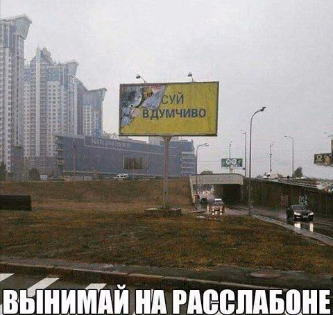 864b25cc50e306520bd01a525a9ecdf4.jpg