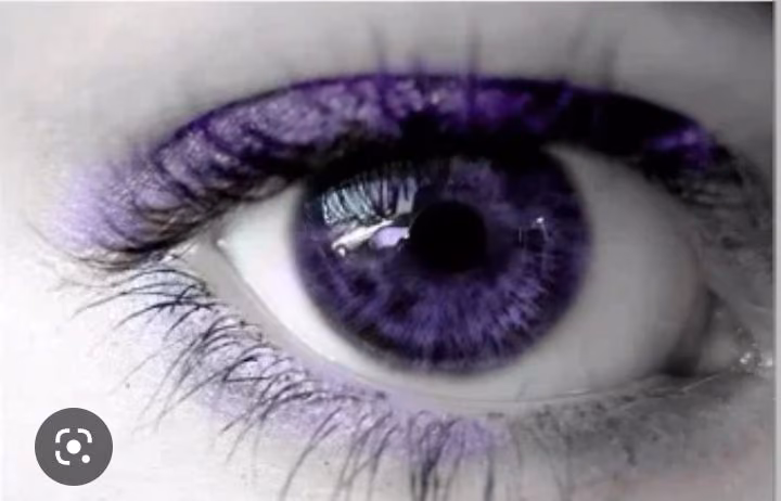 8652806b9592a6c063e58e96f1ec63a9.jpg