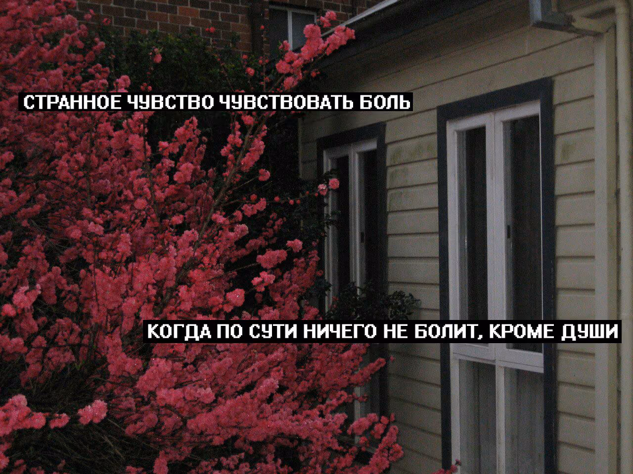 865fb8acafe9599c8e81de5097d0f11b.jpg