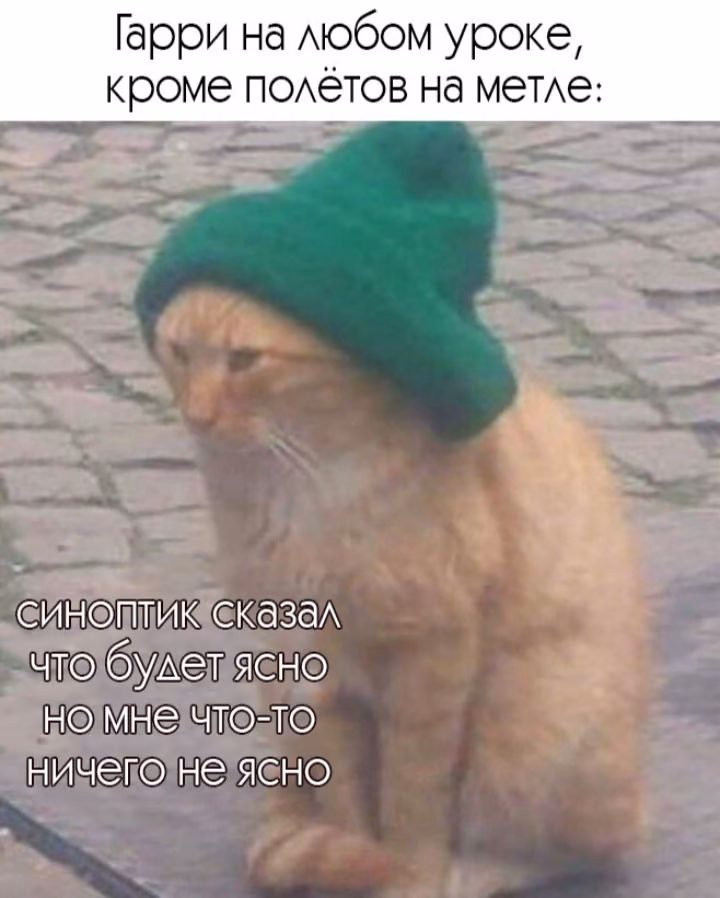 867fa73f0ca09a76f42b07178cb3da86.avif