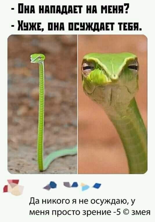 868df0e68624341df493421b44dee8bd.jpg