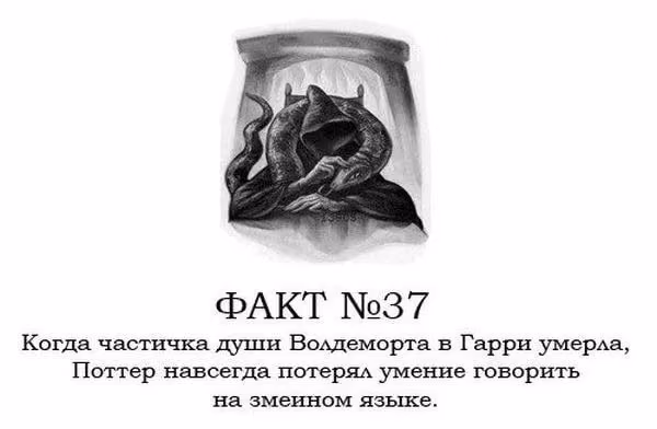 868f026e3c58303e327867429402a7ed.avif