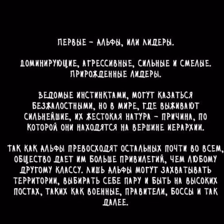 86963e0c9ca0d39fe7eec9b1491b5f3b.avif
