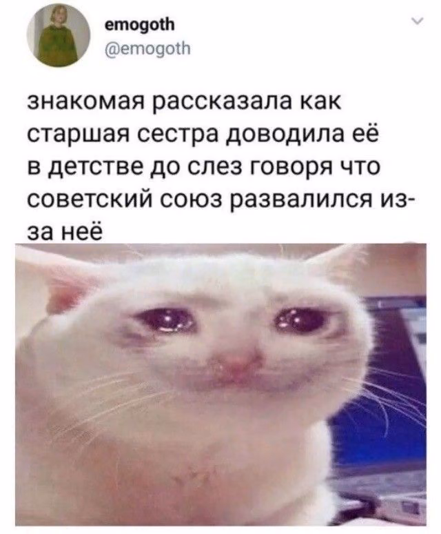 869bc776a2d25b13ab7009f9a6095d74.avif