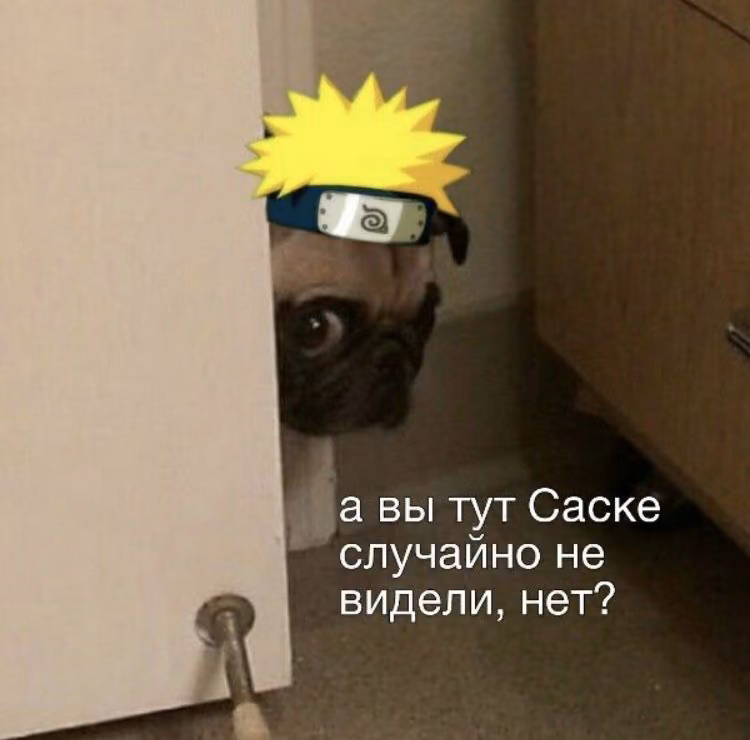 86acddbd5fbadbf0bbf21e2972ce7496.avif