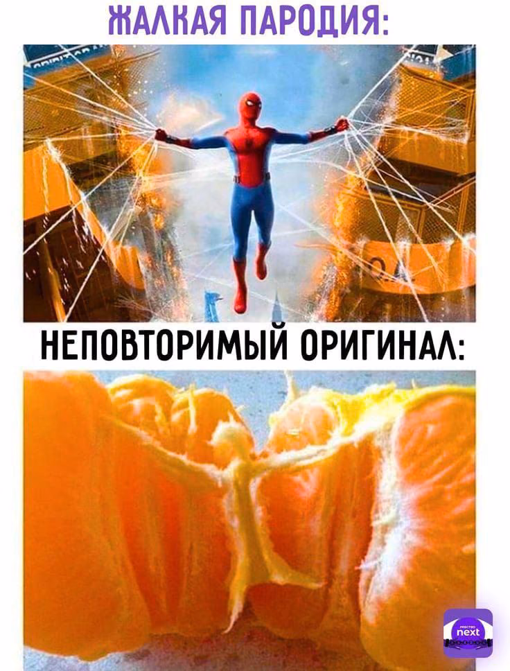 86b7ee8ed51e9c6116cac952e951036b.jpg