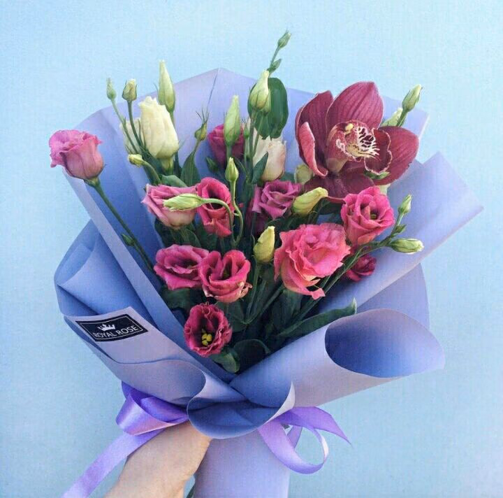 86c38bff6e7483acb3a5299239f3db1c.avif