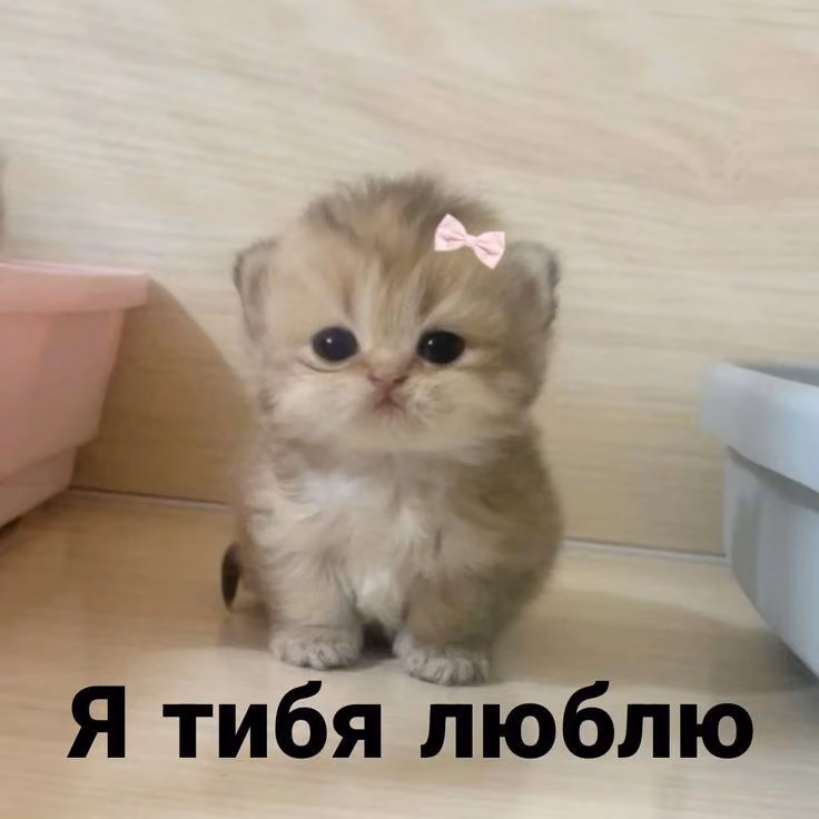86de5602b92f737504b160f5dd893e72.jpg