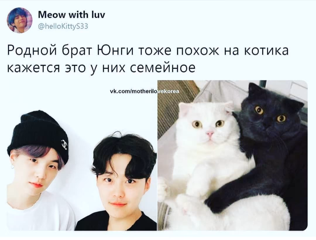86e1f0a05d200fa754417c2811f65b26.avif