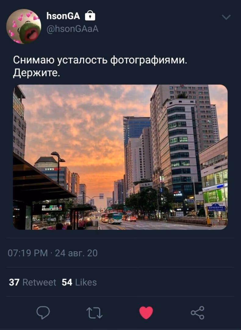 86f25ef76a71c5f6f876216c8e4cb804.jpg
