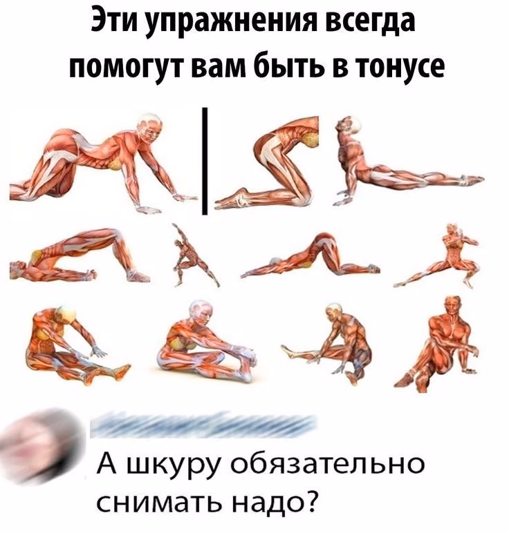 871134bb2b8acafd0acad0e4cb95e4e2.avif