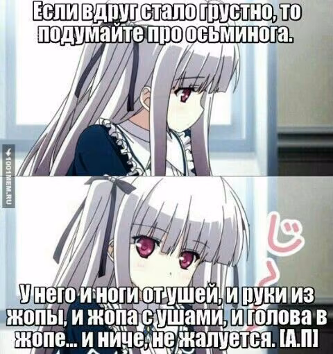 871251559b8f3914257f2ebf960381df.jpg