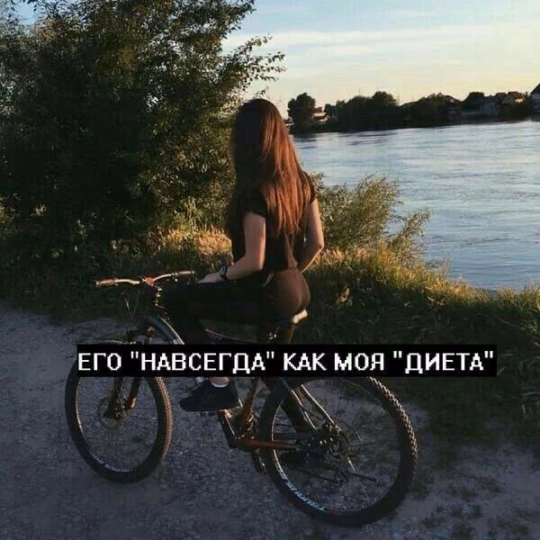 871ce6fca572422fbdd818643b90930f.avif