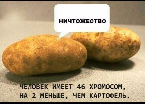 873e9e0a227e0da9e563b45a15705347.jpg