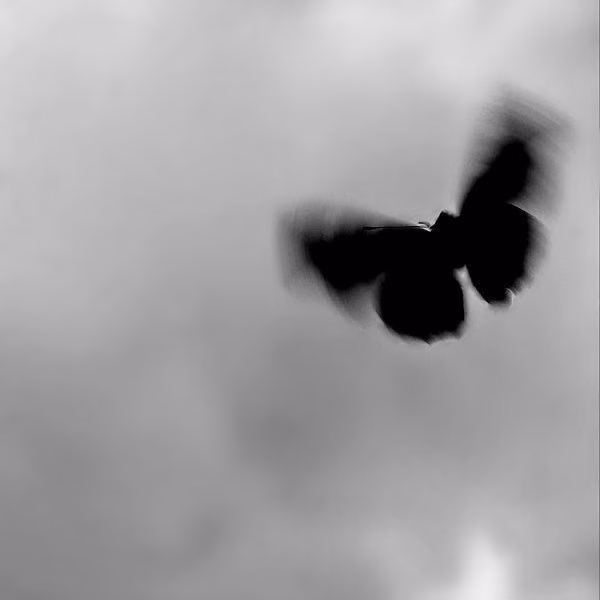 8744f42f95875b7e4f9cf9abc64ff01d.avif