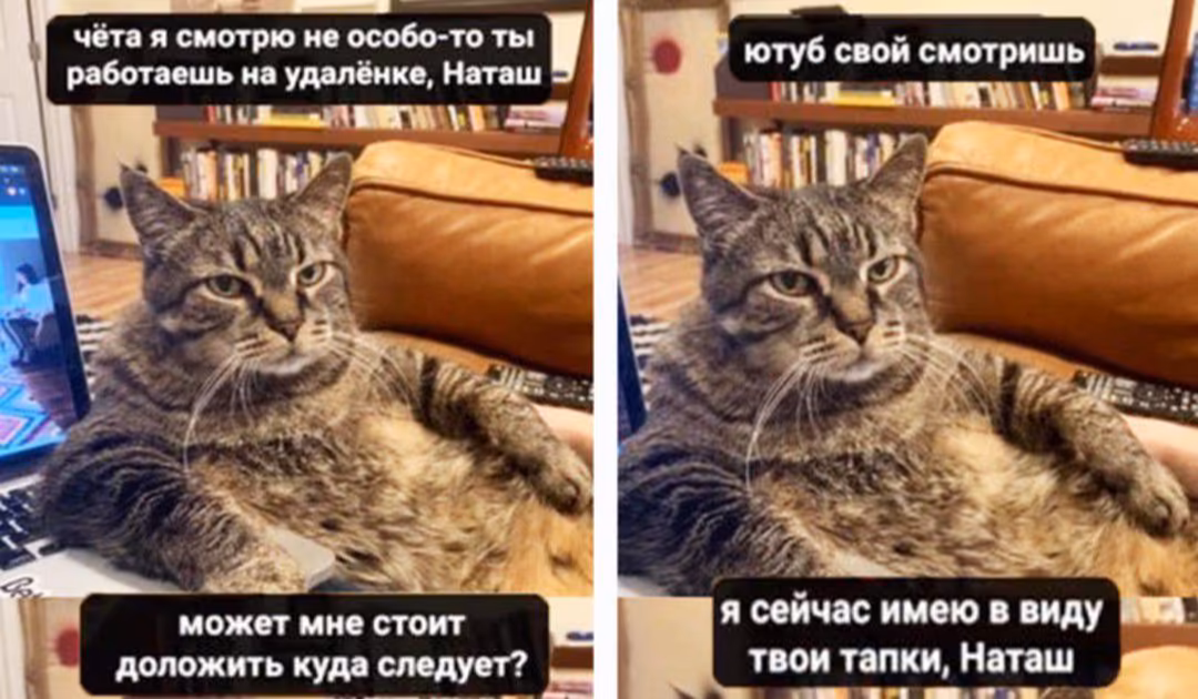 87520dca8c327e7cc853ebd1ea67138d.avif