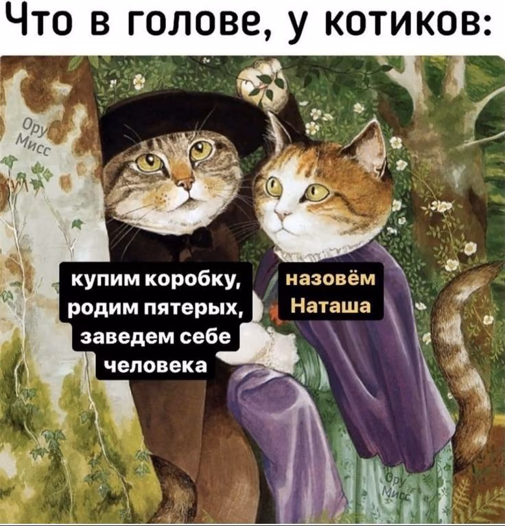 87567ed1e7f071b72cc4d25cd6a3b35c.avif