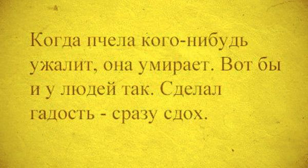 875c8f9016f9d5022fa34a1ff6f5d654.jpg