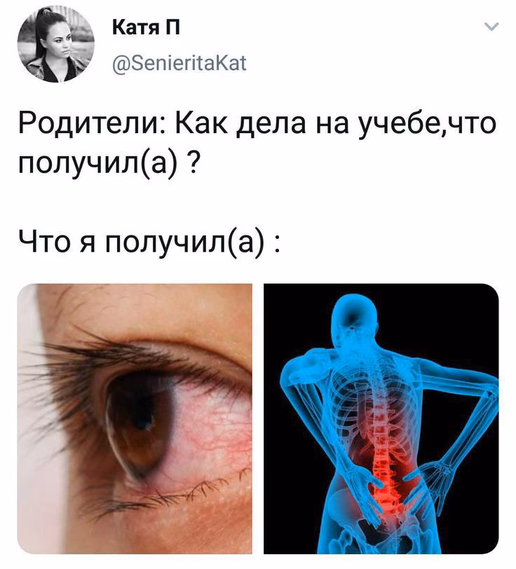 87630375f23d62b714023fd394fe7b9b.avif