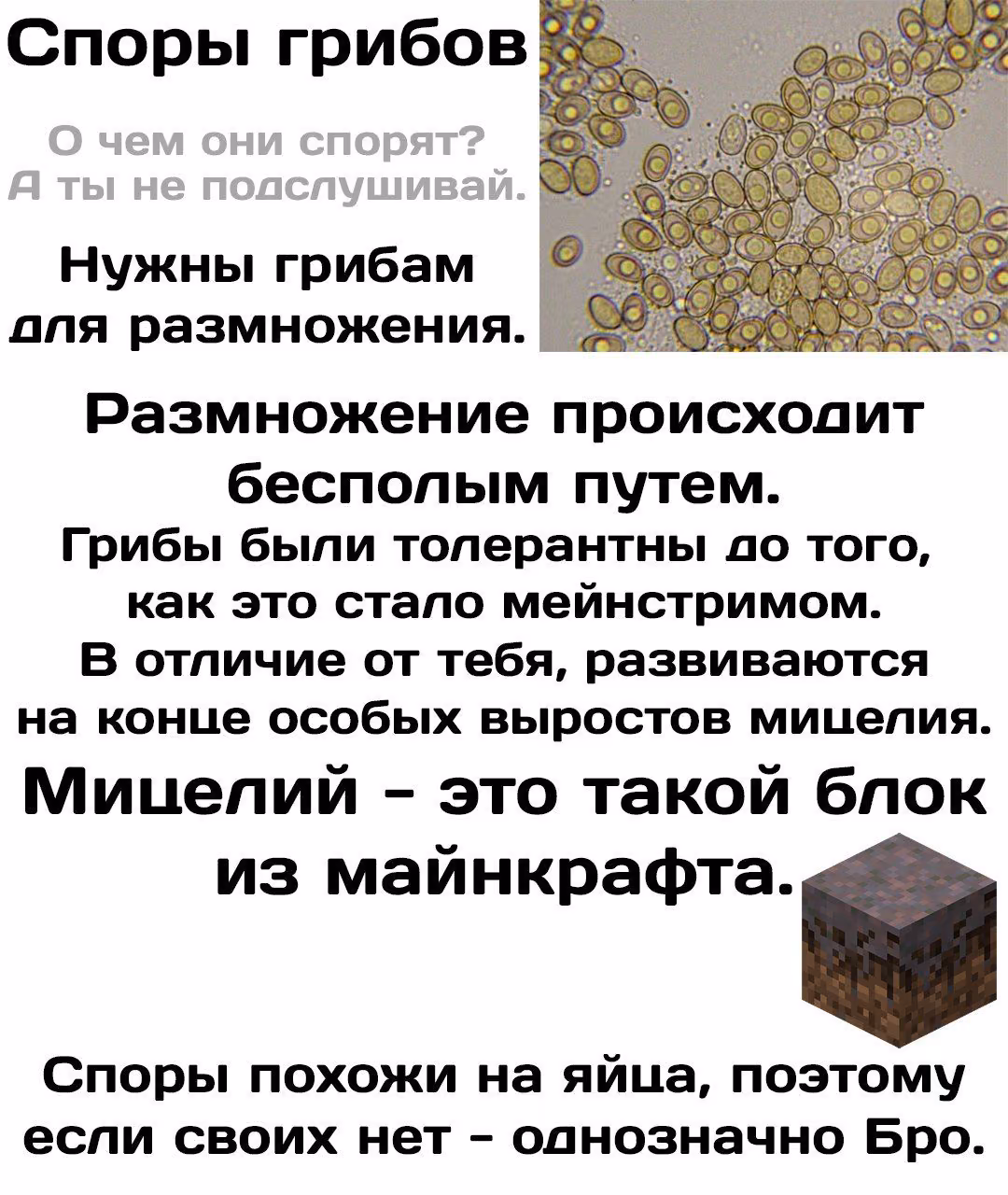 876a0d6da4f432b03e435510d48409e6.jpg