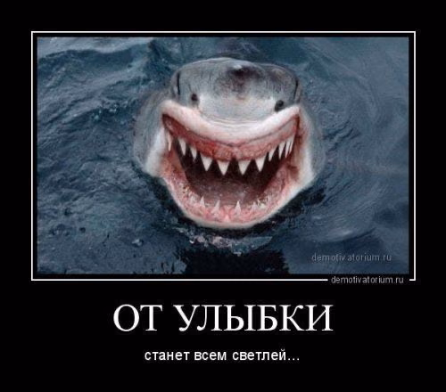 87807165936d4de2e32523c5109a891e.jpg