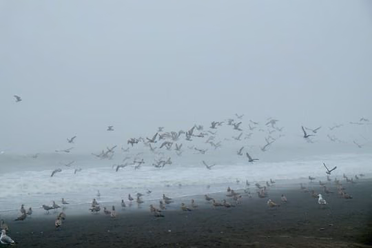 8788fe98fb219c3cbc05d4219020eac7.avif