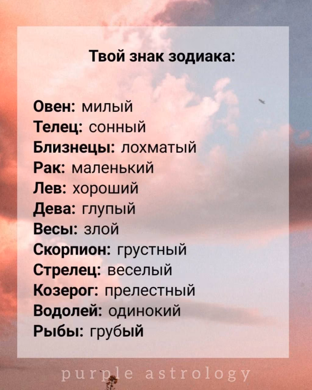 878be25cc3b08d938d7d160b0651686a.jpg