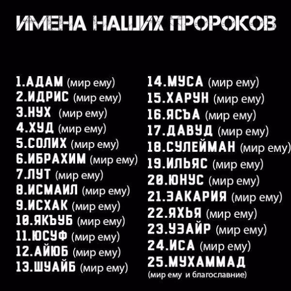 87a79761447c9a9c428a894fbee8271b.avif