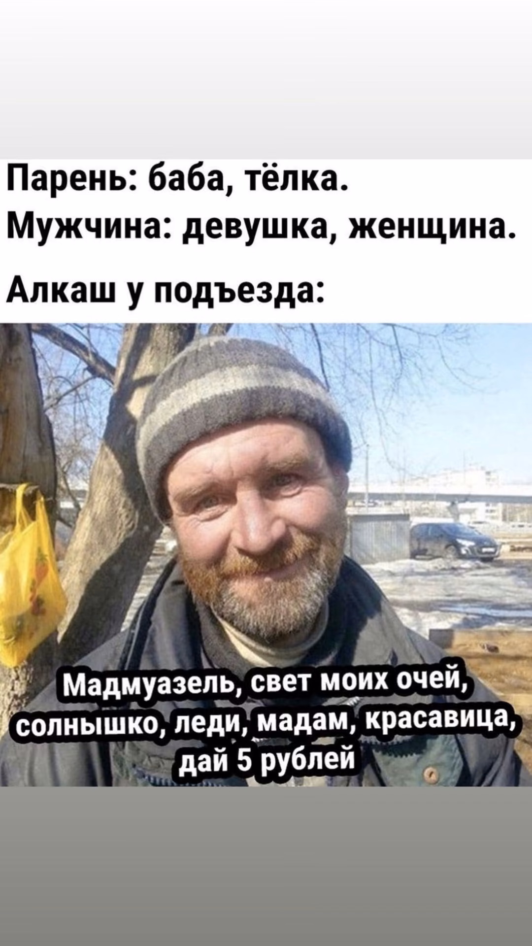 87b16a369c703fb41c17fb421fcfb585.jpg