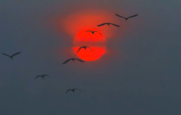 87b197f43f995ed9a10f5c6bdce90ed5.avif