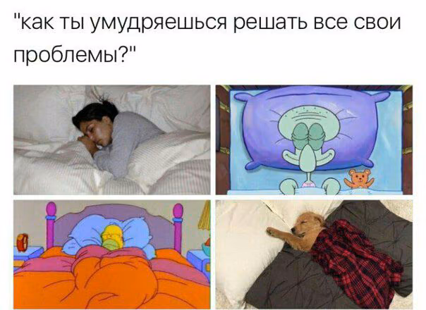 87bd252df255cc10f7aae6a40f507144.avif