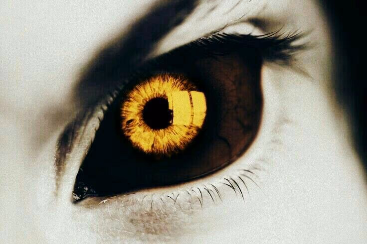 87c71b7c91fd0d6d74cd6e83aee0fb3f.avif