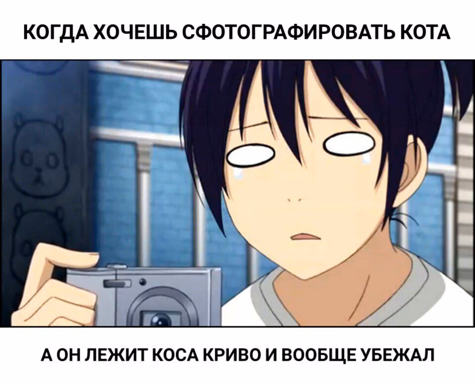 87db1cac9cc1f41b9c823b17622f666f.jpg