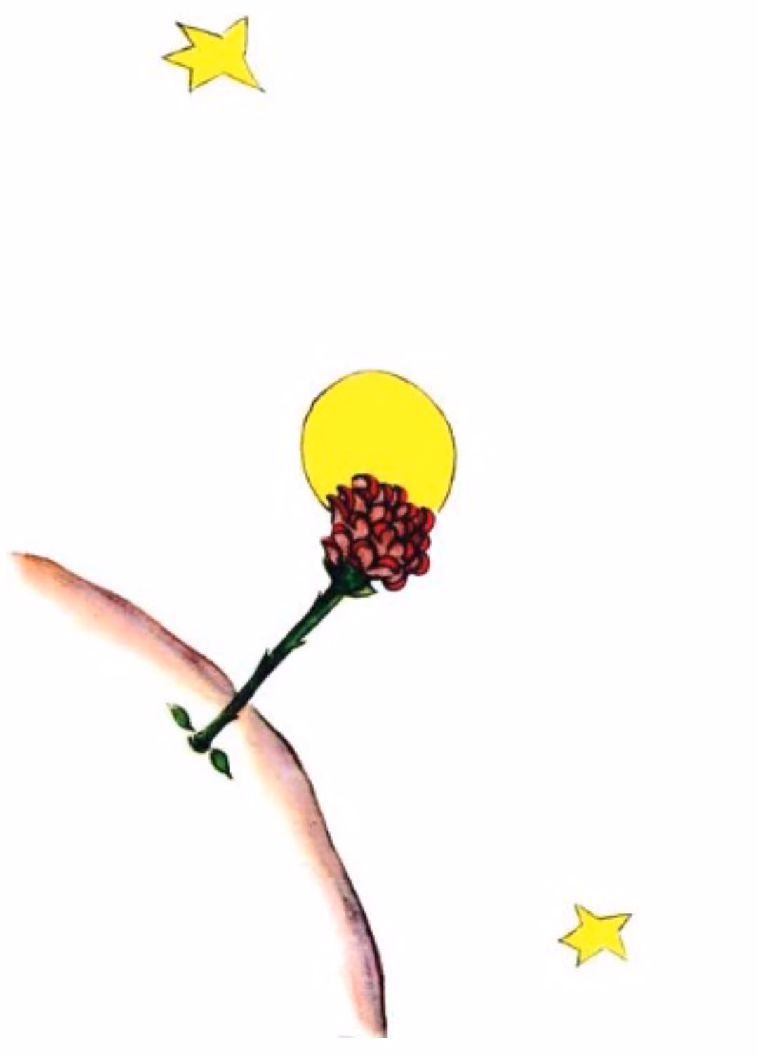 87e00b71d65be2d9e833673eacffd406.avif