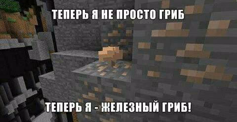 87e31bac28a061d70258f033580810ca.jpg