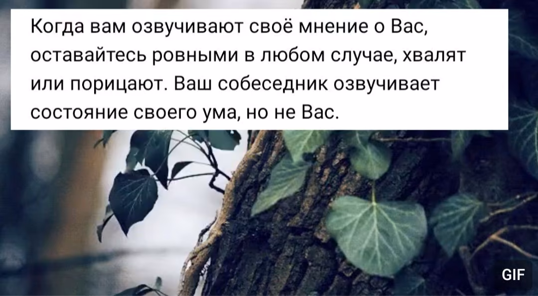 87ed813f5606b630f0c77f893943d250.jpg