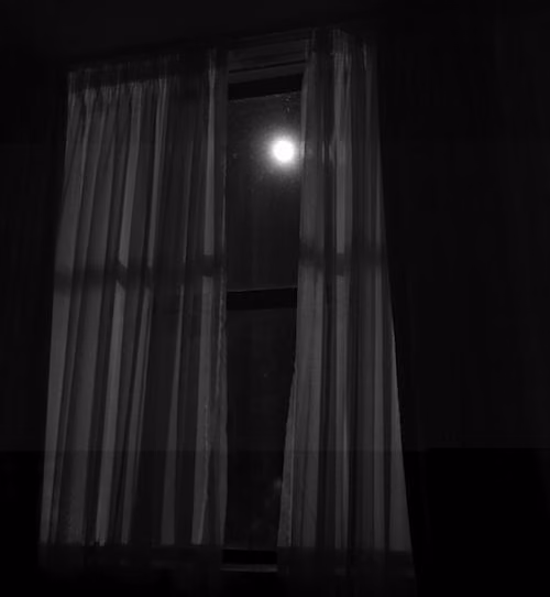 87f0cc568ba67ca9ce114565c688b35d.jpg