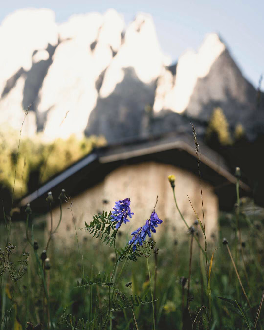 87f26918a013357bad0ea3ac7c4c8d52.avif