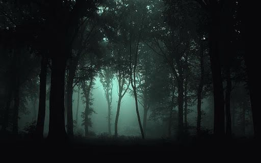 87fcf20719e66e378f331bcd91eedce0.avif