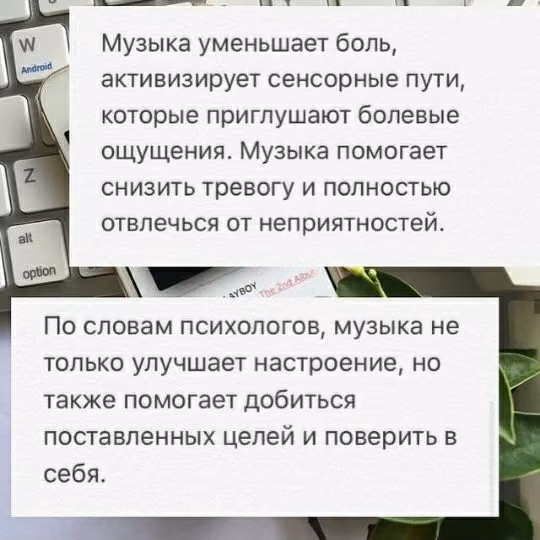 87fe85a3318b749fd0b98327c2f8878d.avif